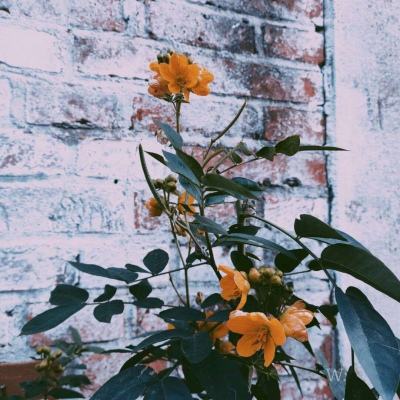 半岛bob综合登入下载手机版